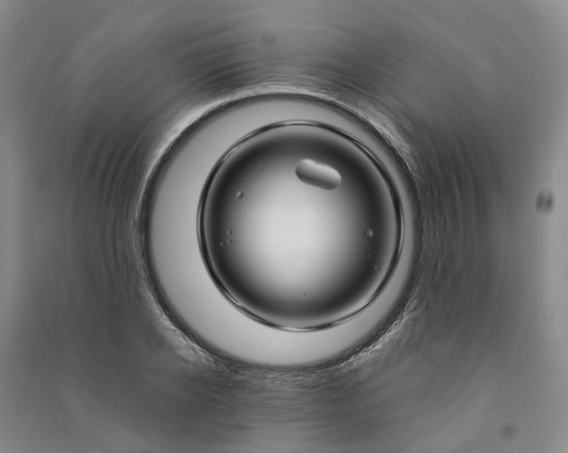 X0000090960934200708161813