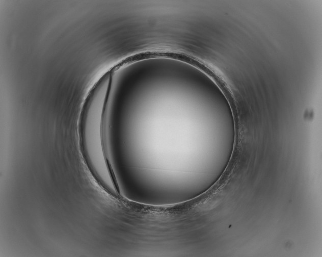 X0000090960935200708161813