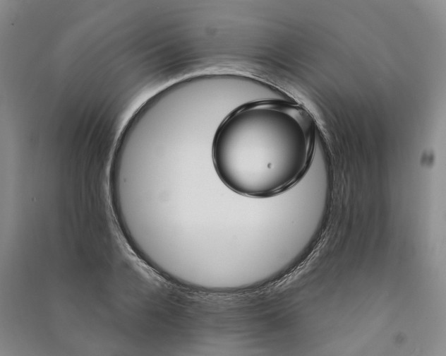 X0000090960936200708161813