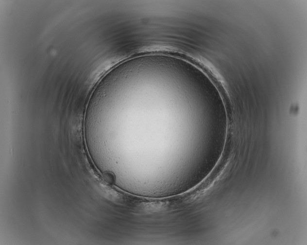 X0000090960937200708161813
