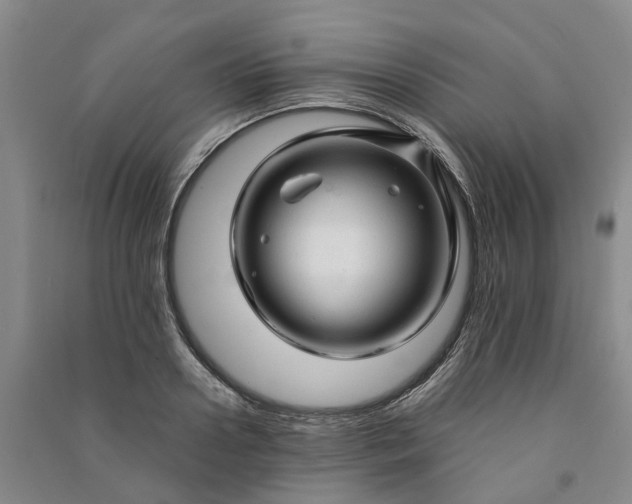 X0000090960938200708161813