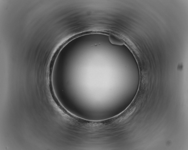 X0000090960939200708161813