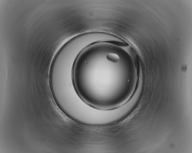 X0000090960940200708161813