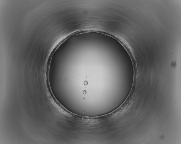 X0000090960941200708161813