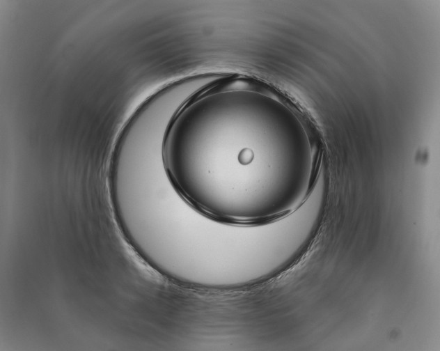 X0000090960942200708161813