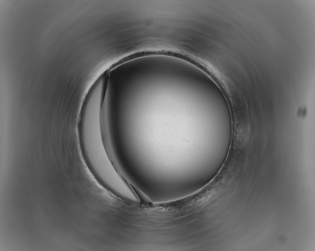 X0000090960943200708161813
