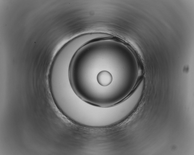 X0000090960944200708161813