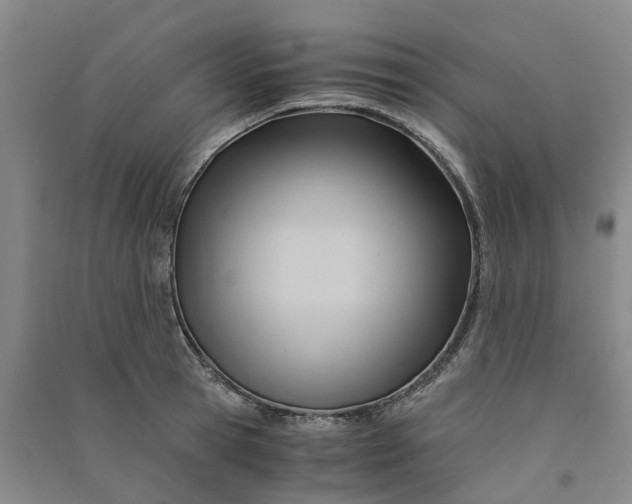 X0000090960945200708161813