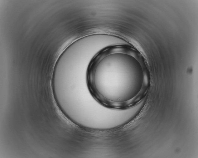 X0000090960946200708161813