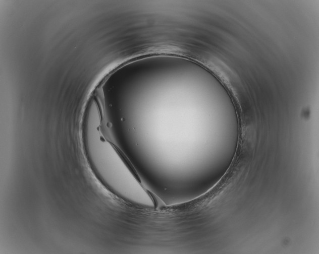X0000090960947200708161813