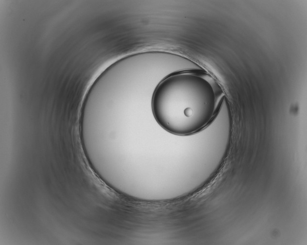 X0000090960948200708161813