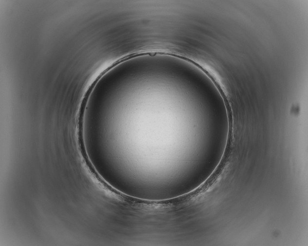 X0000090960949200708161813