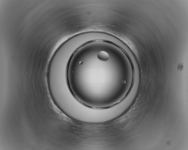 X0000090960950200708161813