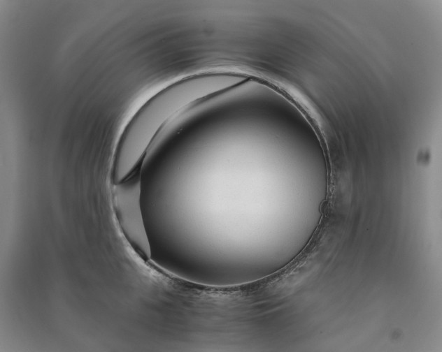 X0000090960951200708161813