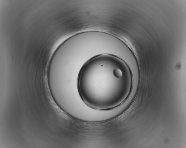 X0000090960952200708161813