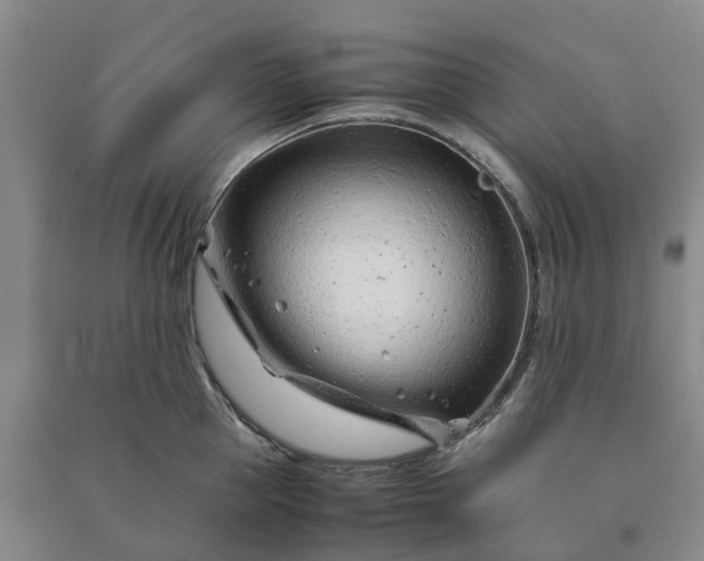 X0000090960953200708161813