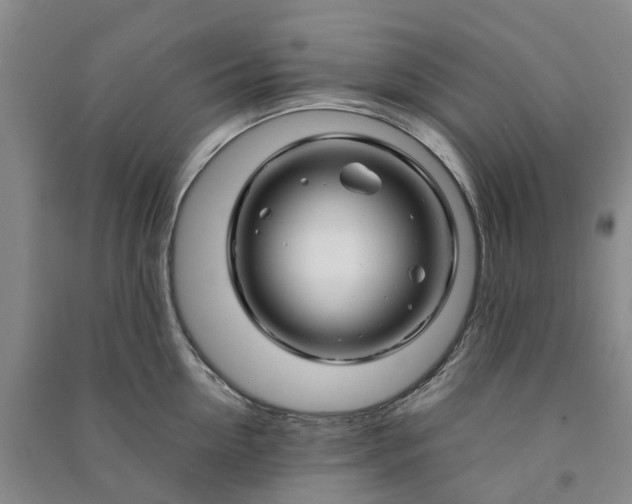 X0000090960954200708161813