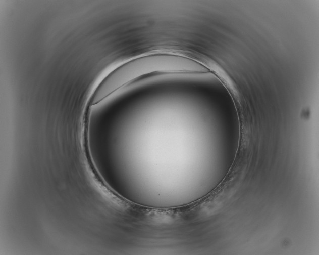 X0000090960955200708161813