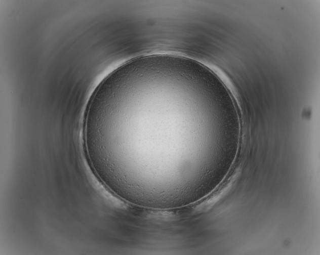 X0000090960957200708161813