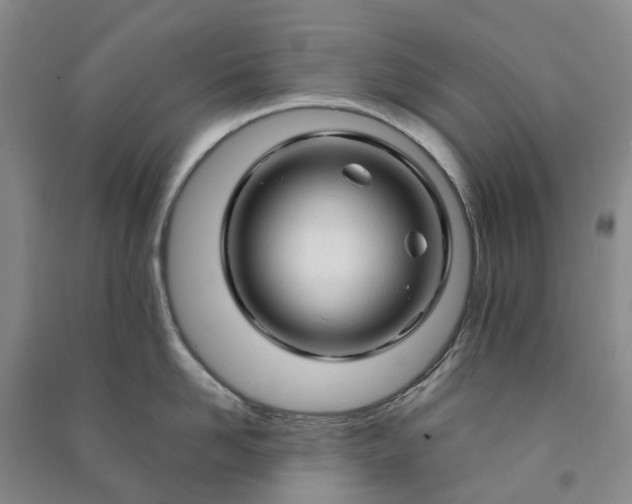 X0000090960958200708161813