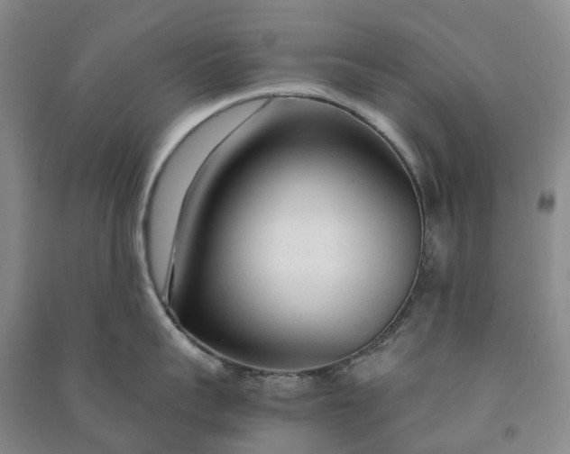 X0000090960959200708161813
