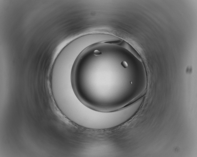 X0000090960960200708161813