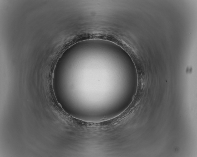 X0000090960961200708161812