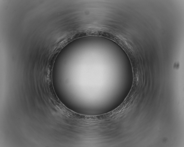 X0000090960964200708161812