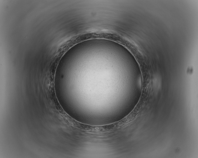 X0000090960966200708161812