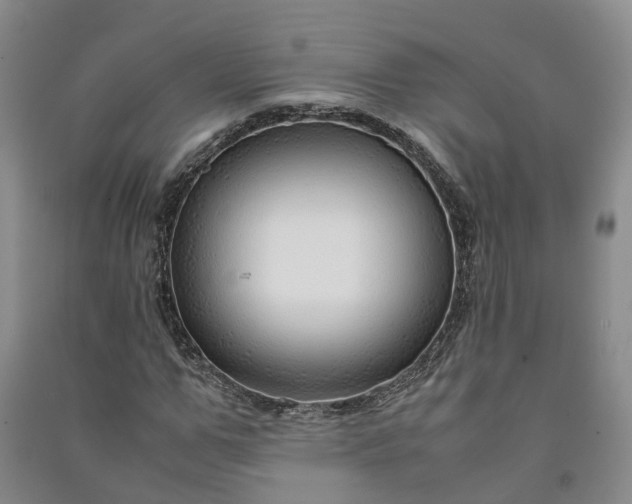 X0000090960967200708161812