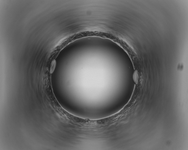 X0000090960968200708161812