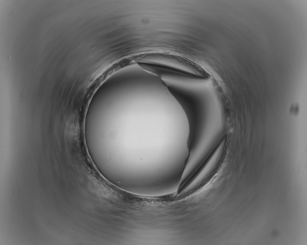 X0000090960969200708161812