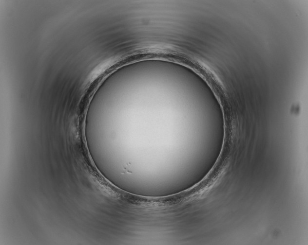 X0000090960970200708161812