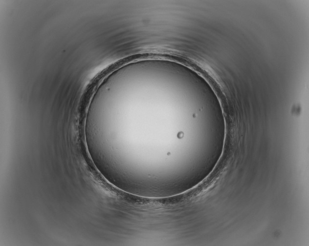X0000090960971200708161812