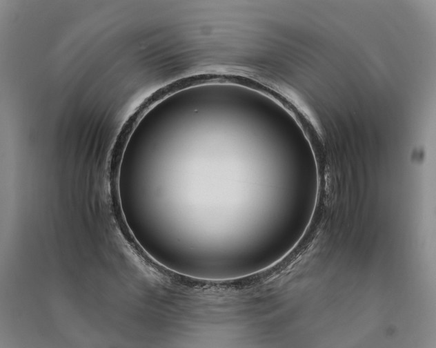 X0000090960972200708161812