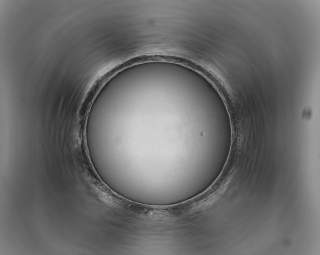 X0000090960974200708161812