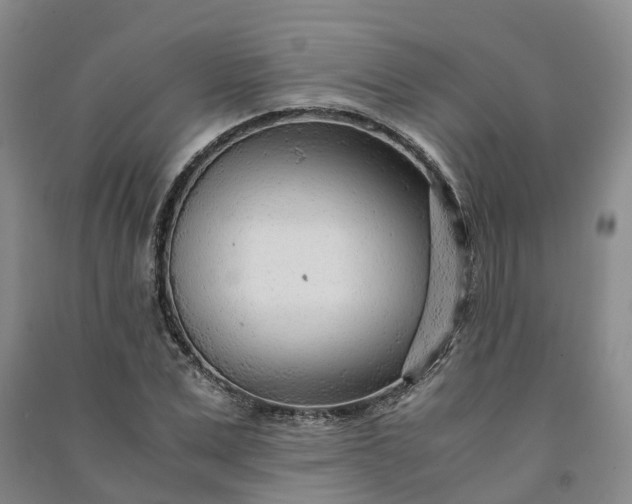X0000090960975200708161812