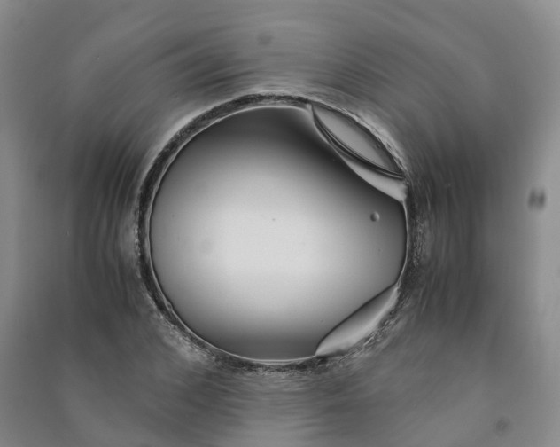 X0000090960976200708161812