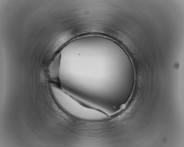 X0000090960977200708161812