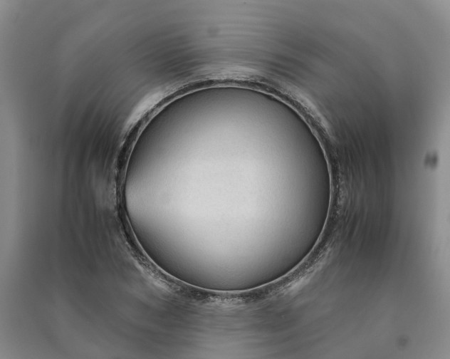 X0000090960978200708161812