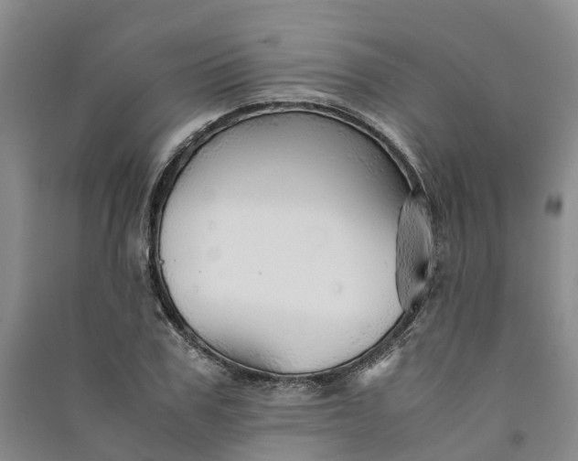 X0000090960979200708161812