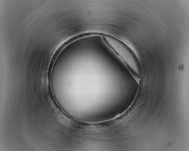 X0000090960980200708161812