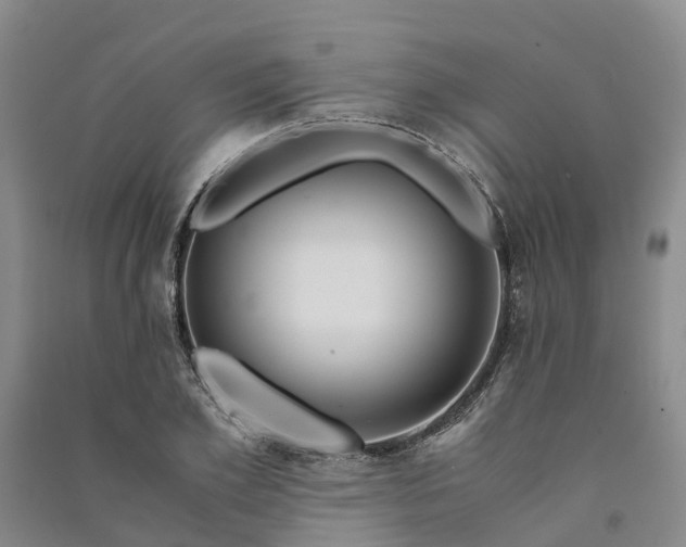 X0000090960981200708161812