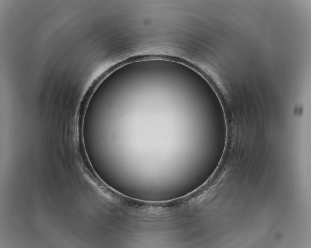 X0000090960982200708161812