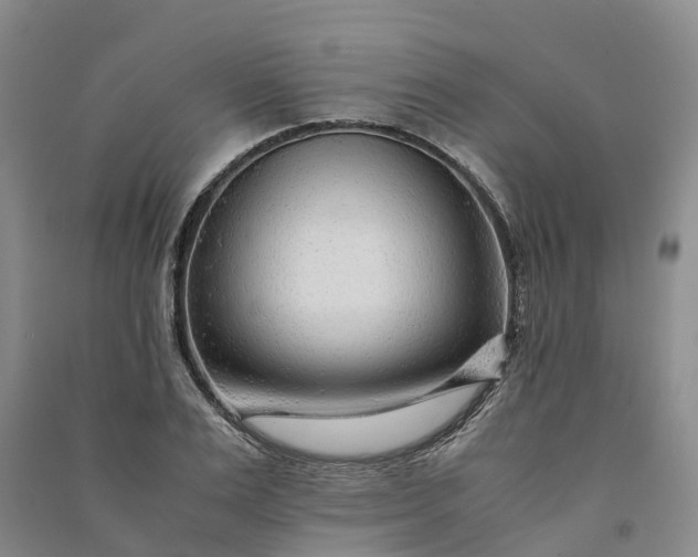 X0000090960983200708161812