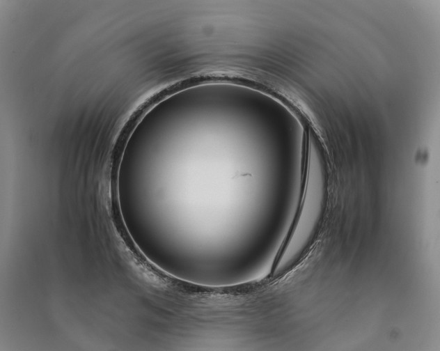 X0000090960984200708161812