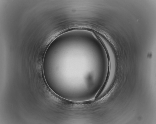 X0000090960985200708161812
