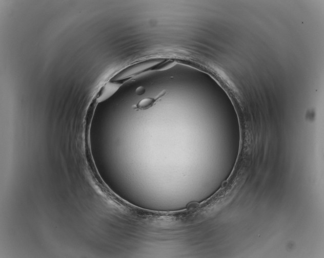 X0000090960986200708161812