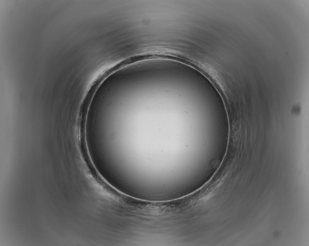 X0000090960987200708161812