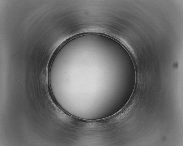X0000090960988200708161812